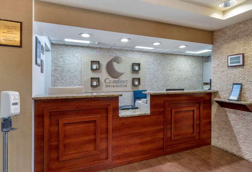 ホテル Comfort Inn & Suites