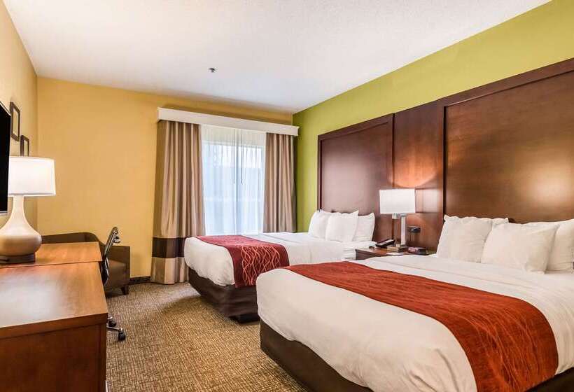 ホテル Comfort Inn & Suites