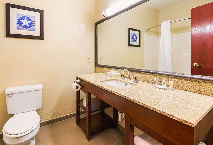 ホテル Comfort Inn & Suites