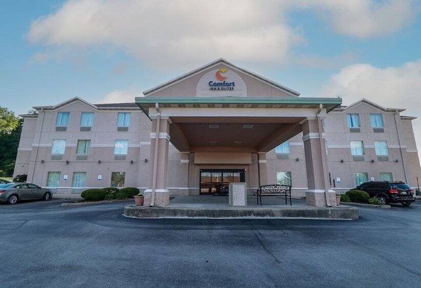 ホテル Comfort Inn & Suites