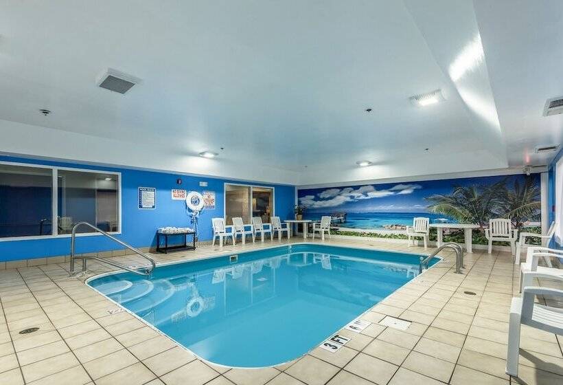 ホテル Comfort Inn & Suites