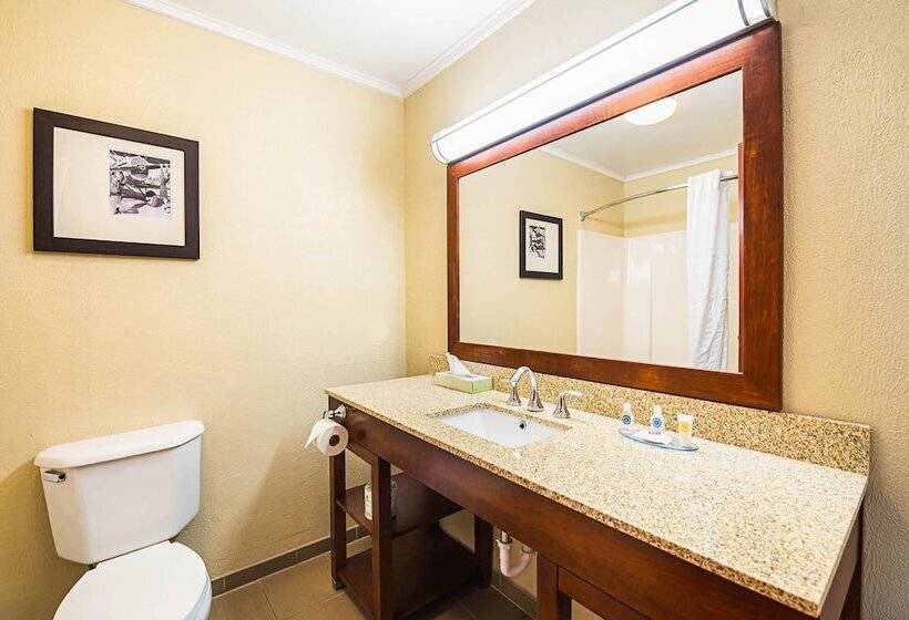 ホテル Comfort Inn & Suites