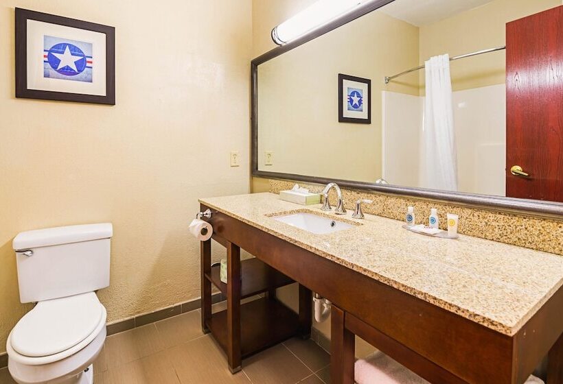 ホテル Comfort Inn & Suites