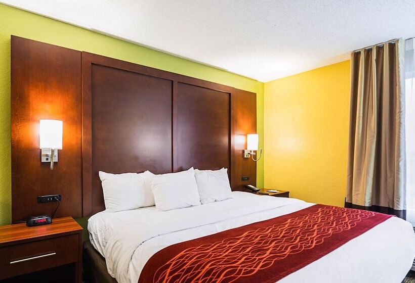 ホテル Comfort Inn & Suites