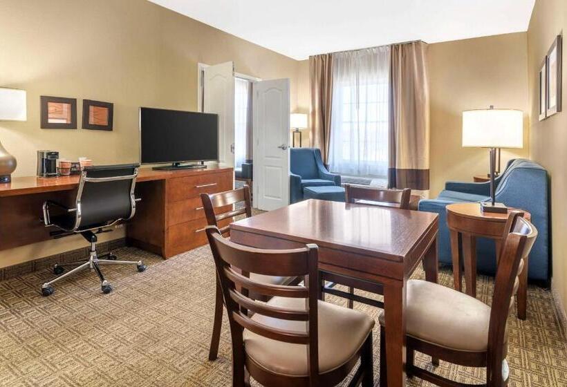 فندق Comfort Inn & Suites Dover Portsmouth