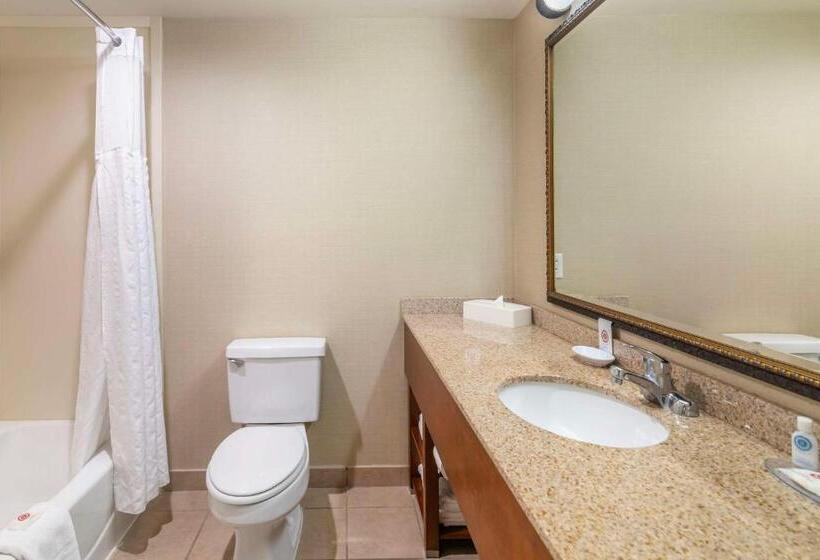 فندق Comfort Inn & Suites Dover Portsmouth