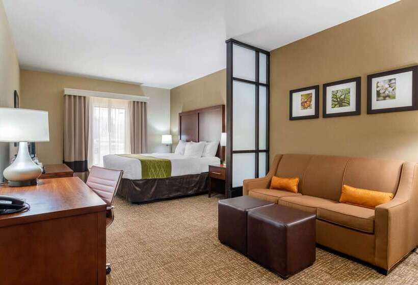 فندق Comfort Inn And Suites Griffin