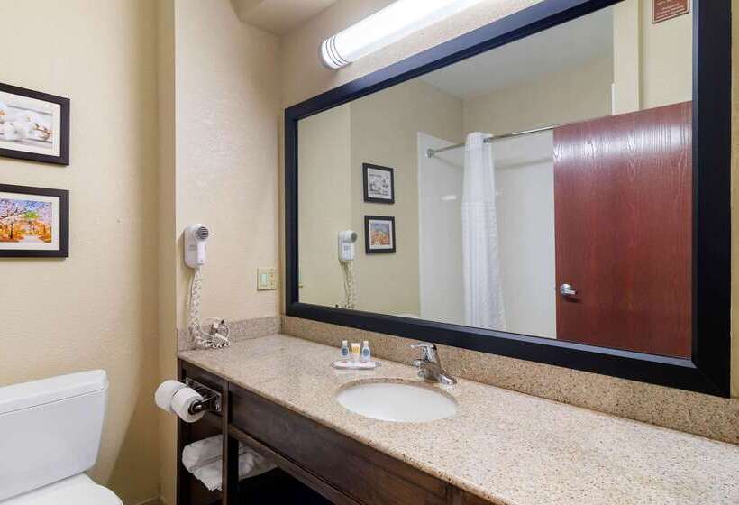 فندق Comfort Inn And Suites Griffin
