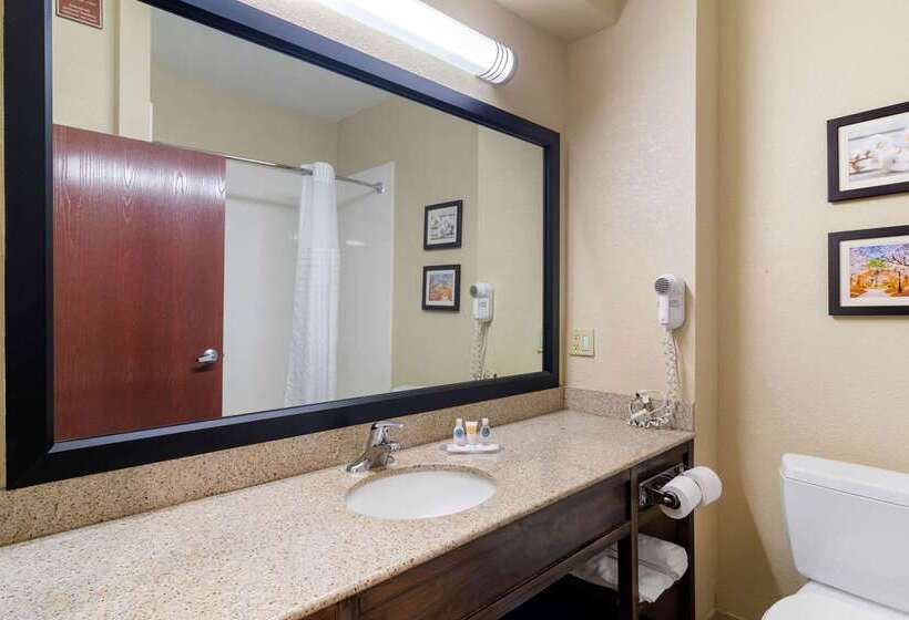 فندق Comfort Inn And Suites Griffin