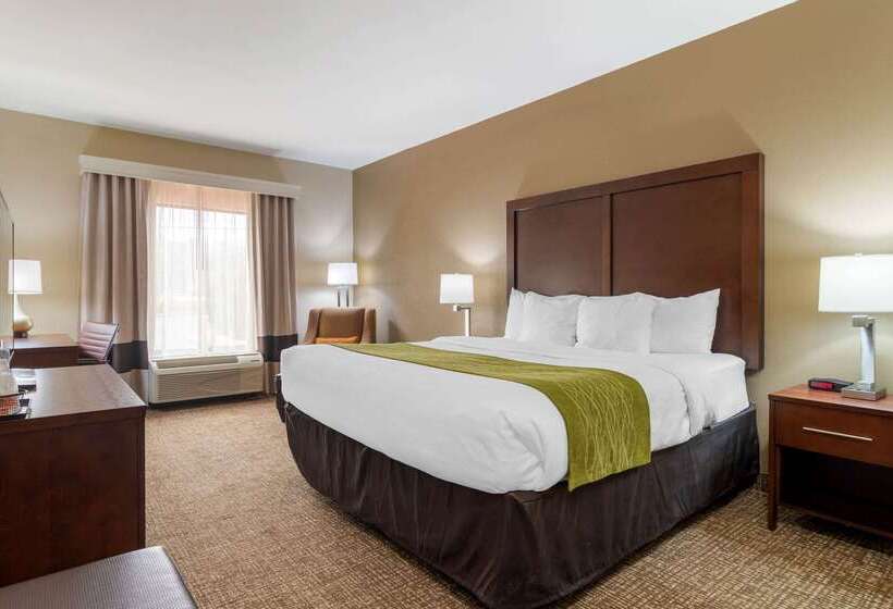 فندق Comfort Inn And Suites Griffin
