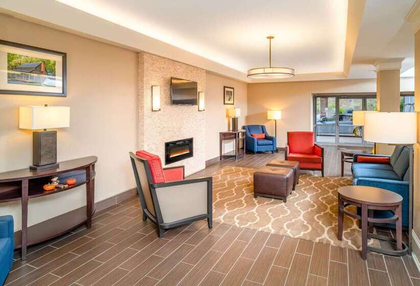 酒店 Comfort Inn & Suites