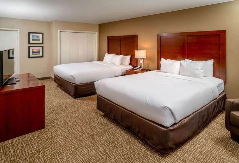 酒店 Comfort Inn & Suites