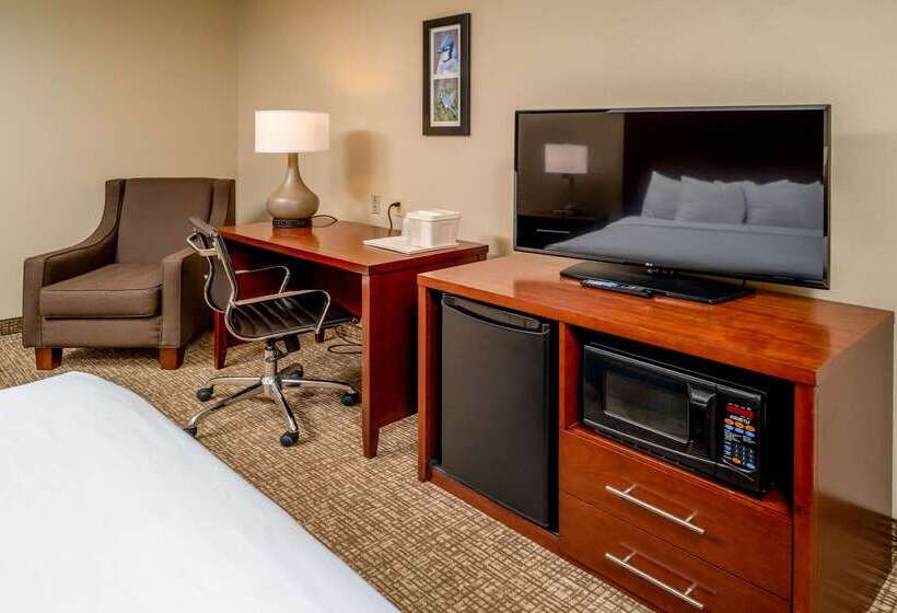 酒店 Comfort Inn & Suites