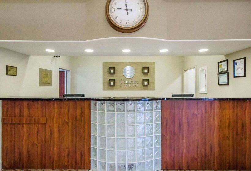 هتل Comfort Inn & Suites Deadwood