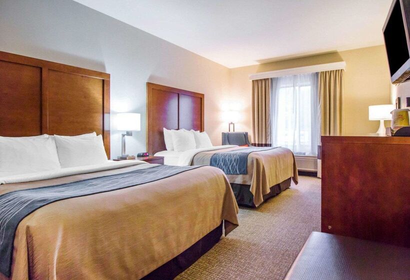 هتل Comfort Inn & Suites Deadwood