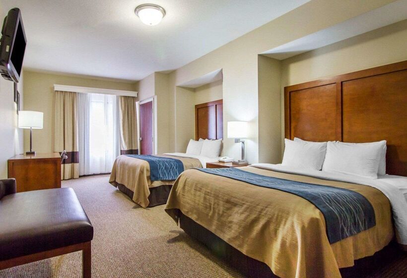 هتل Comfort Inn & Suites Deadwood