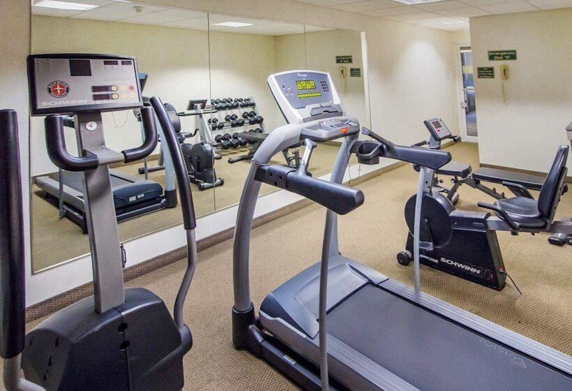 فندق Comfort Inn & Suites Deadwood