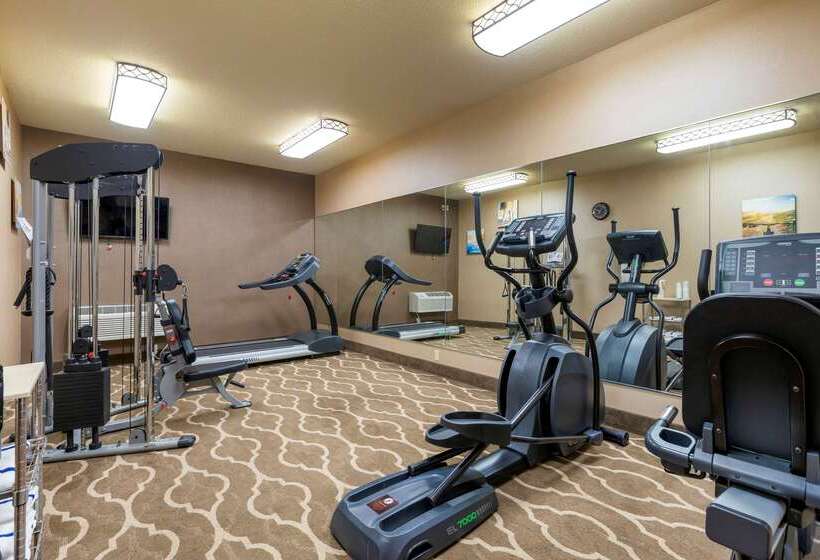 فندق Comfort Inn & Suites