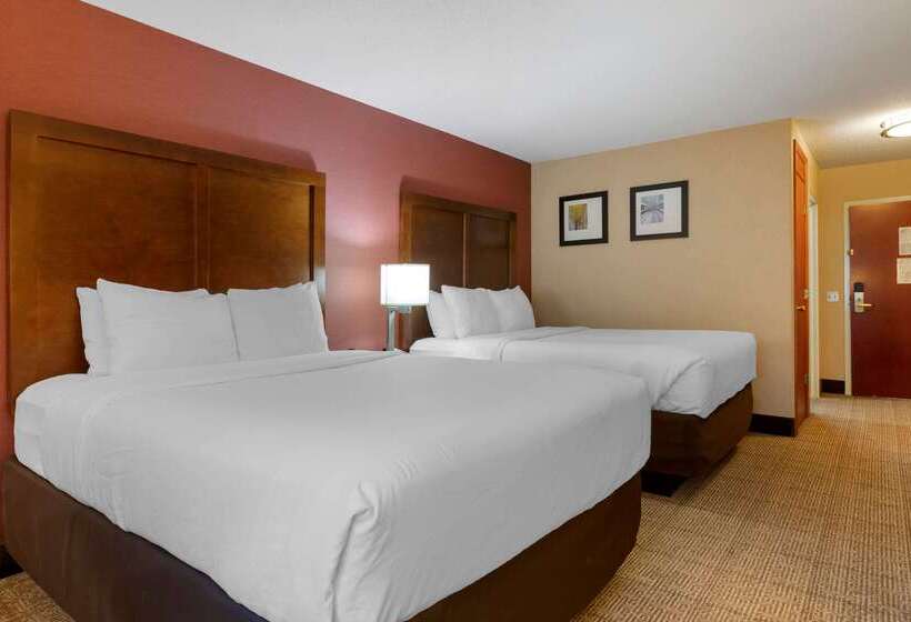 فندق Comfort Inn & Suites