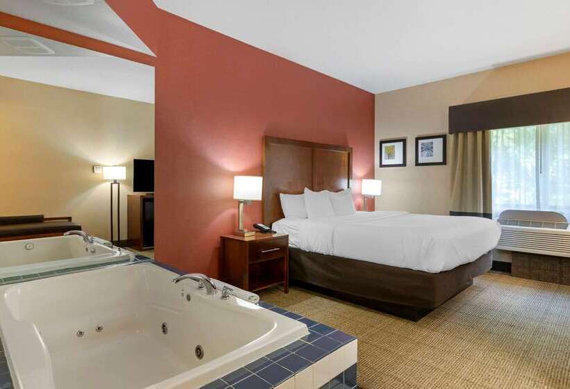 فندق Comfort Inn & Suites