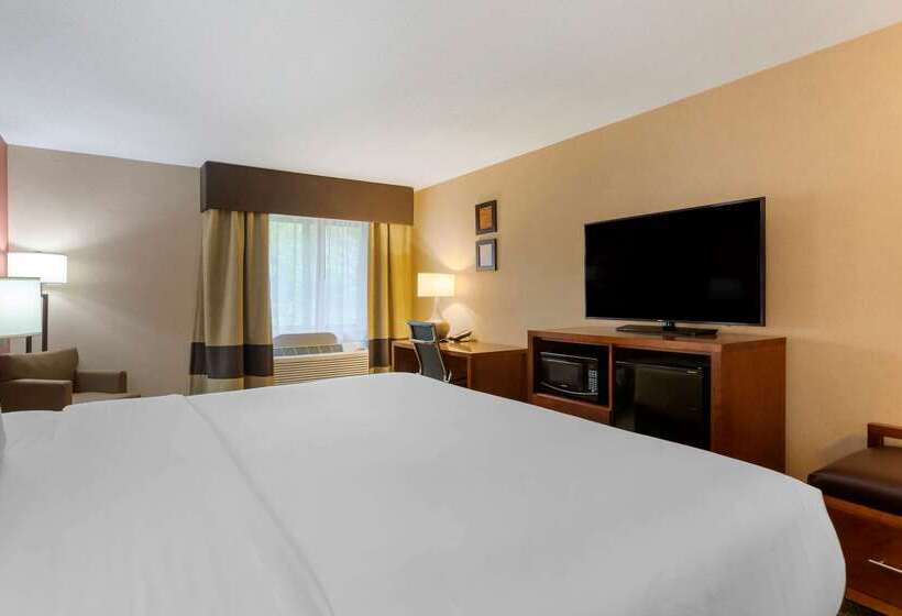 فندق Comfort Inn & Suites