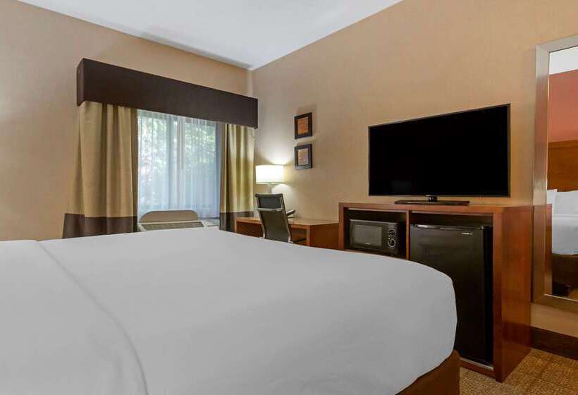 فندق Comfort Inn & Suites