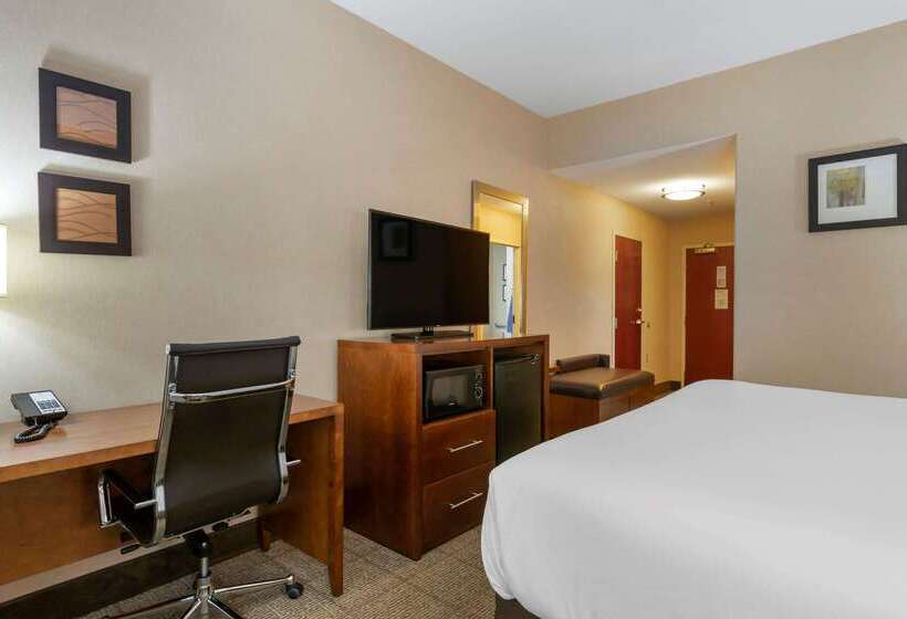 فندق Comfort Inn & Suites