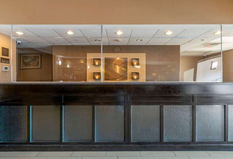 فندق Comfort Inn & Suites