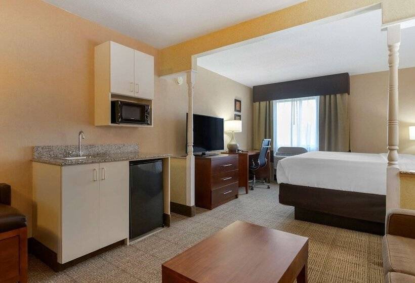 فندق Comfort Inn & Suites