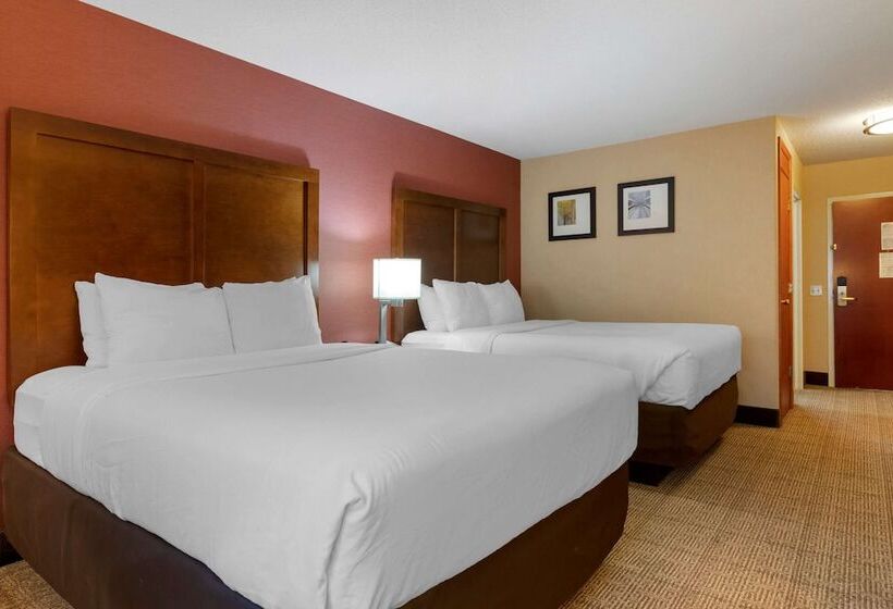 فندق Comfort Inn & Suites