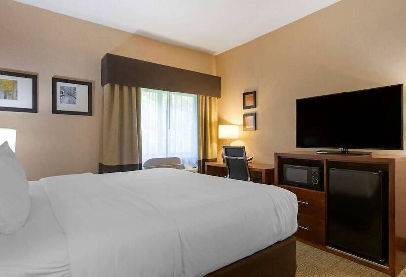 فندق Comfort Inn & Suites