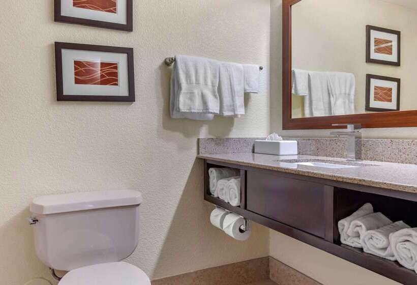 ホテル Comfort Inn & Suites Lake Norman