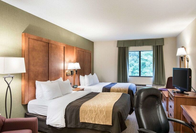 فندق Comfort Inn & Suites Lavale  Cumberland