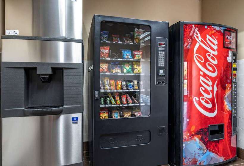 فندق Comfort Inn & Suites