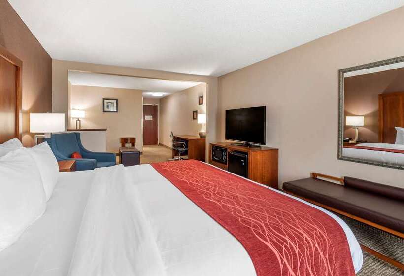 فندق Comfort Inn & Suites