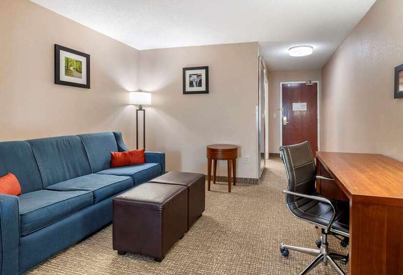 فندق Comfort Inn & Suites