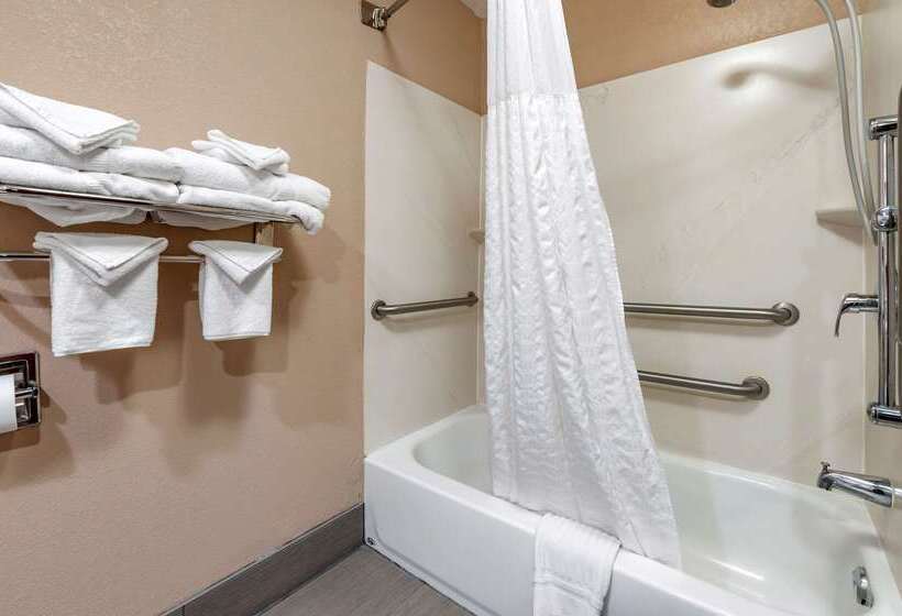 فندق Comfort Inn & Suites