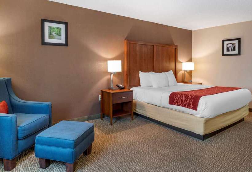 فندق Comfort Inn & Suites