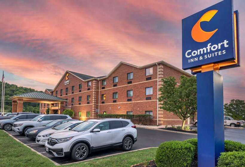 فندق Comfort Inn & Suites