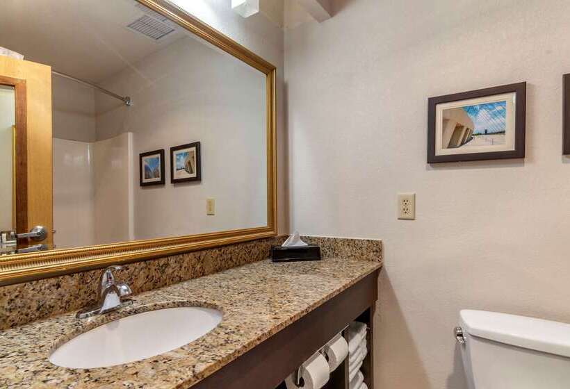 בית מלון כפרי Comfort Inn & Suites Lees Summit  Kansas City