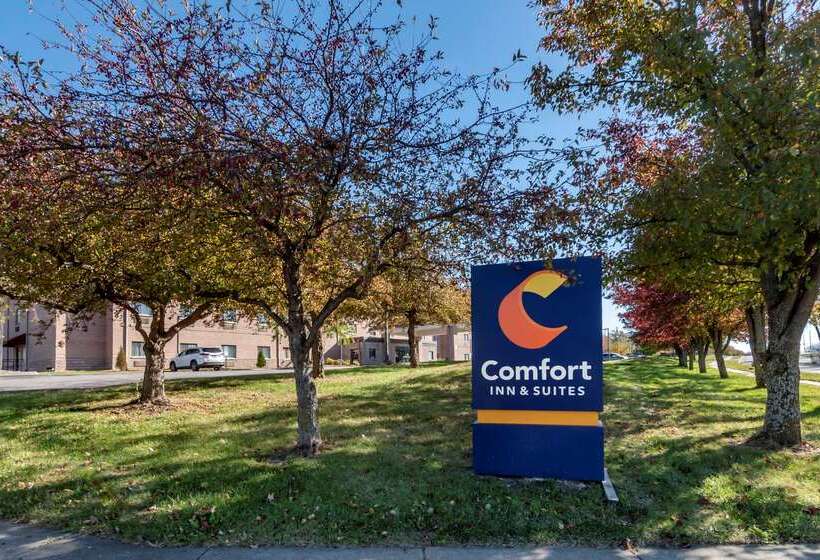 בית מלון כפרי Comfort Inn & Suites Lees Summit  Kansas City