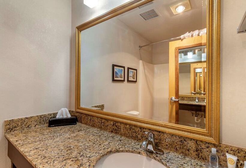 בית מלון כפרי Comfort Inn & Suites Lees Summit  Kansas City