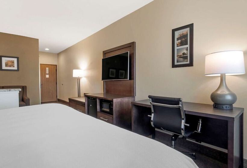 فندق Comfort Inn & Suites Macon