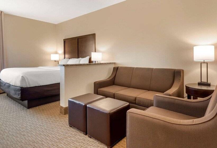 酒店 Comfort Inn & Suites Macon