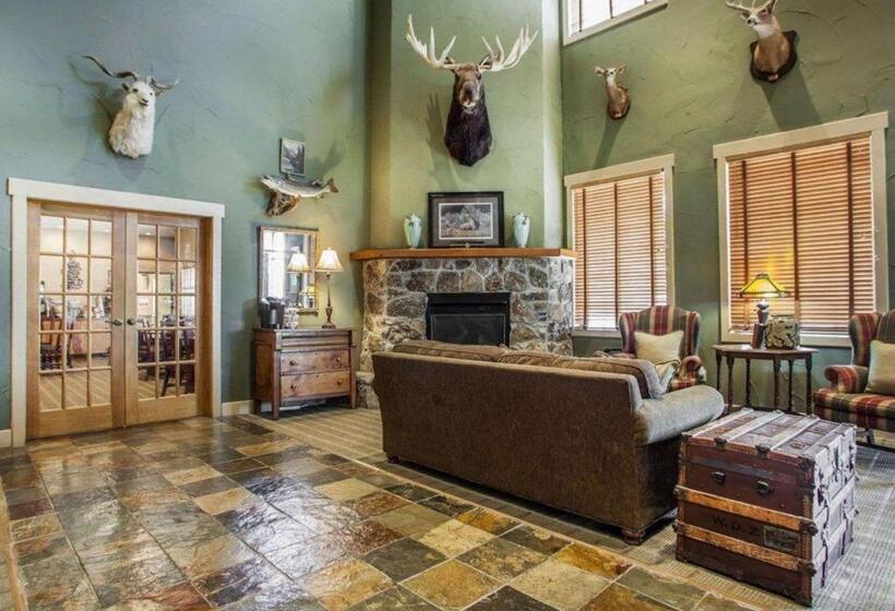 فندق Comfort Inn & Suites Macon