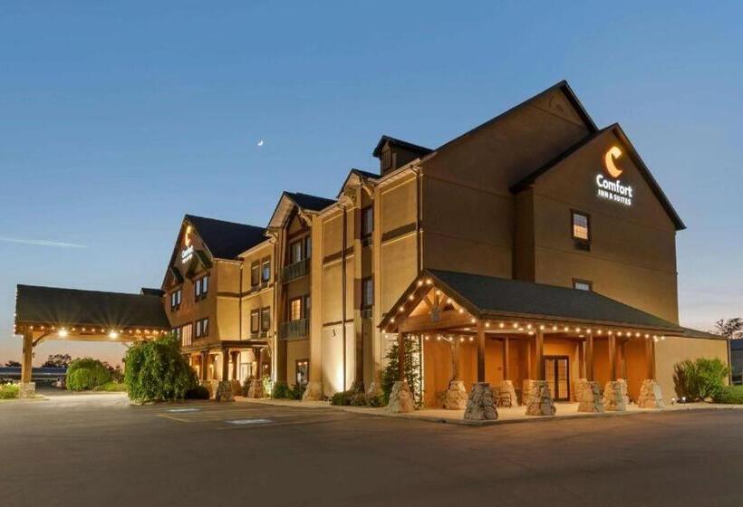 فندق Comfort Inn & Suites Macon