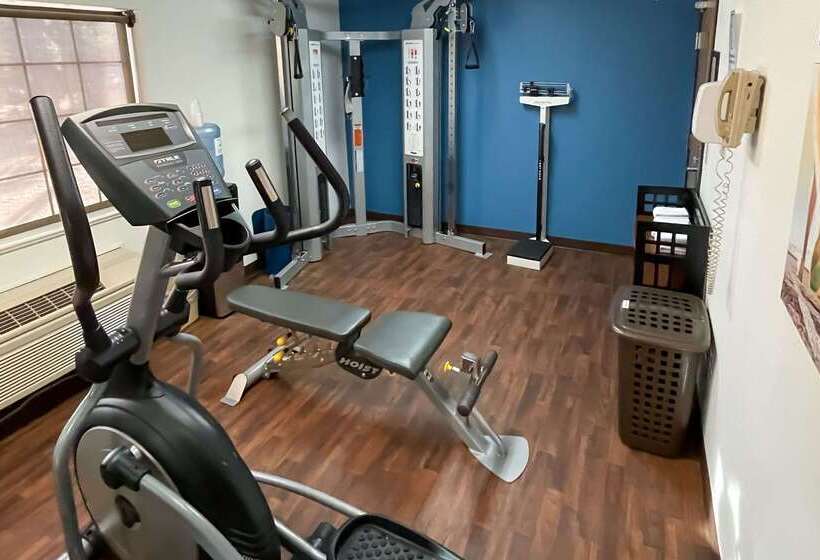 ホテル Comfort Inn & Suites Midtown