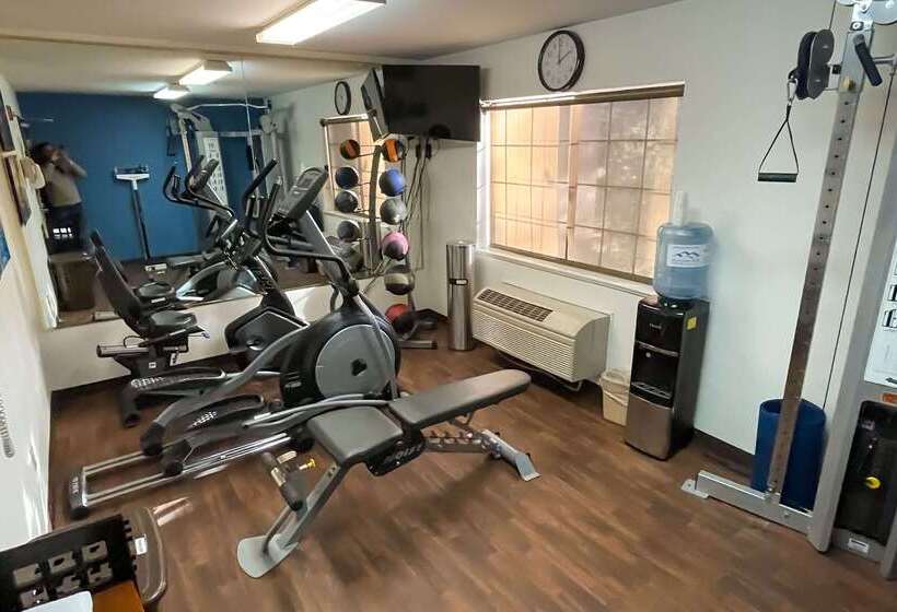 ホテル Comfort Inn & Suites Midtown