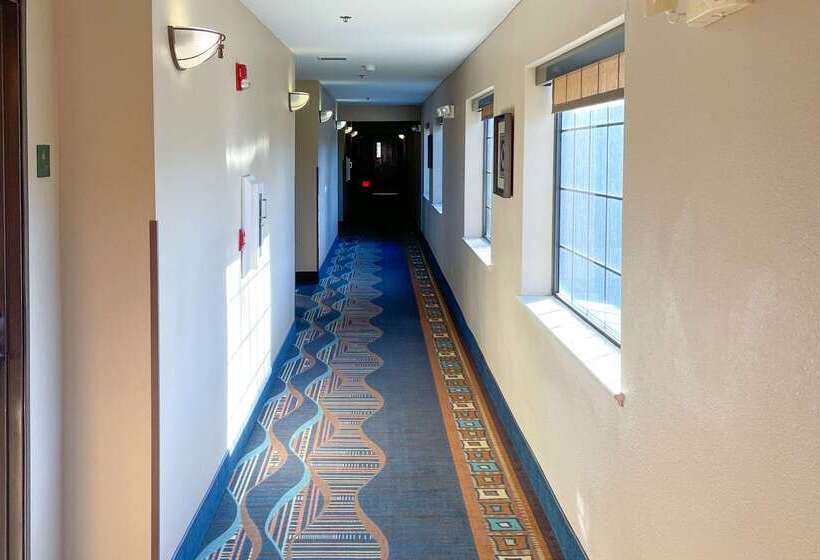 ホテル Comfort Inn & Suites Midtown