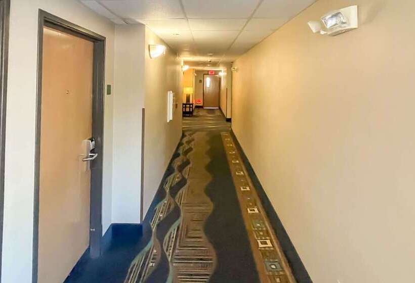 ホテル Comfort Inn & Suites Midtown